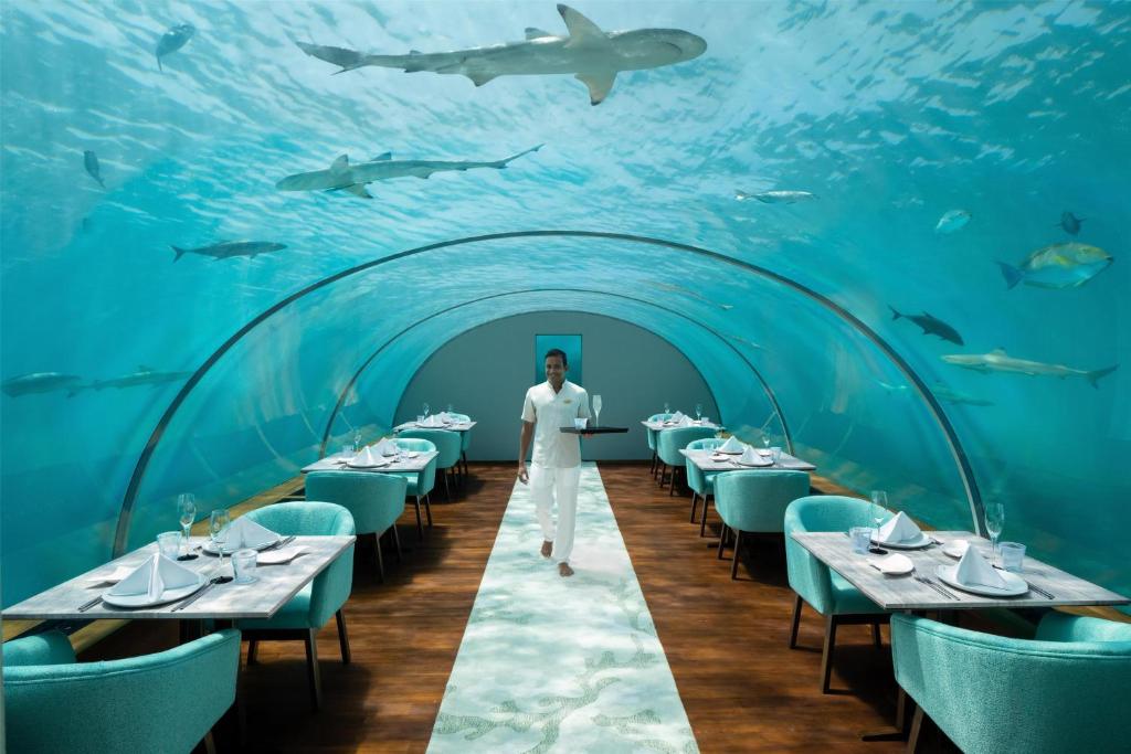 Fine dining at Ithaa Undersea Restaurant in Conrad Maldives, one of the best luxury resorts in the Maldives.
