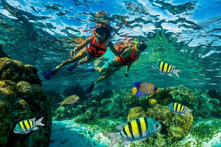A person snorkeling in the clear turquoise waters of a local Maldivian island on a budget.
