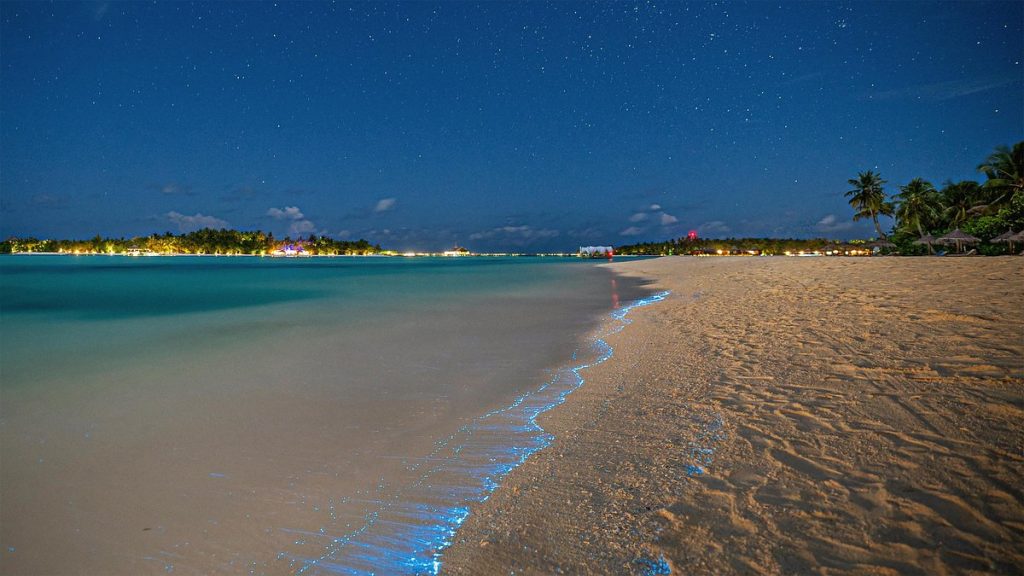 A glowing blue bioluminescent shoreline at night on a local Maldives island under a starry sky, representing hidden natural beauty beyond luxury resorts.