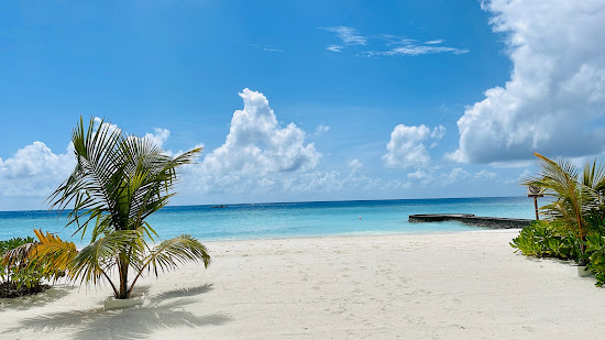 Pristine white sand beach and turquoise water at Vaavu Atoll, Maldives, featuring a small palm tree and a stone jetty under a blue sky with white clouds.