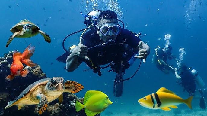 A group of scuba divers underwater in Raa Atoll, Maldives, surrounded by sea turtles, yellow tangs, and colorful tropical fish near a coral reef.
