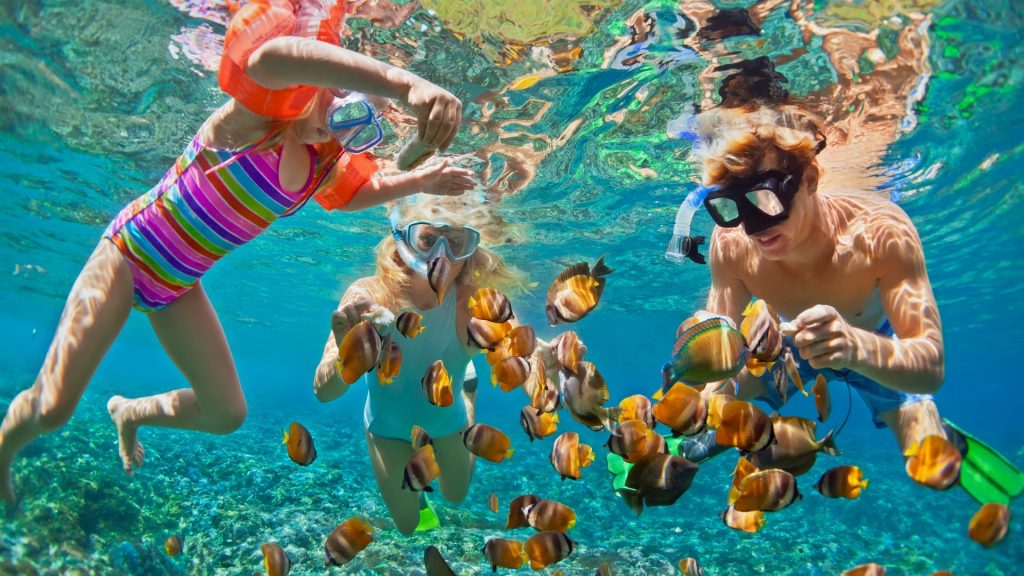A family snorkeling and feeding colorful tropical fish in the crystal clear waters of Lhaviyani Atoll, Maldives.