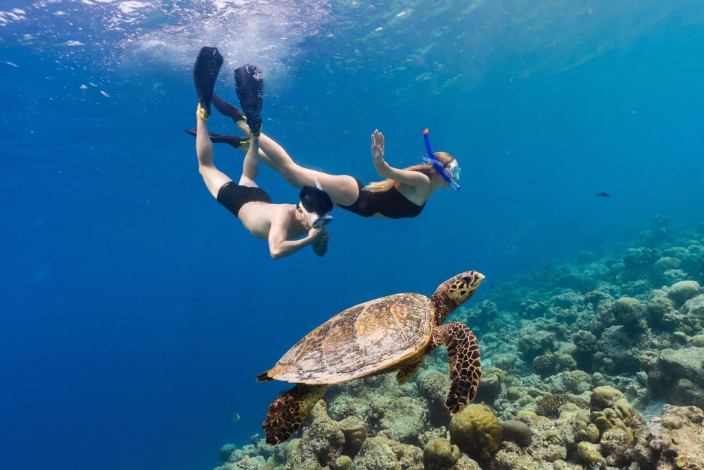 A vibrant underwater view of snorkeling and diving in Noonu Atoll Maldives, showcasing clear blue water and coral reefs.