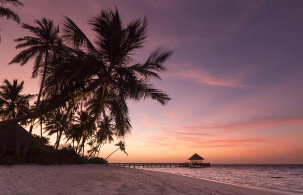 Silhouette of palm trees on a white sandy beach in Raa Atoll, Maldives during a pink and orange sunrise with a wooden jetty and hut over the ocean.