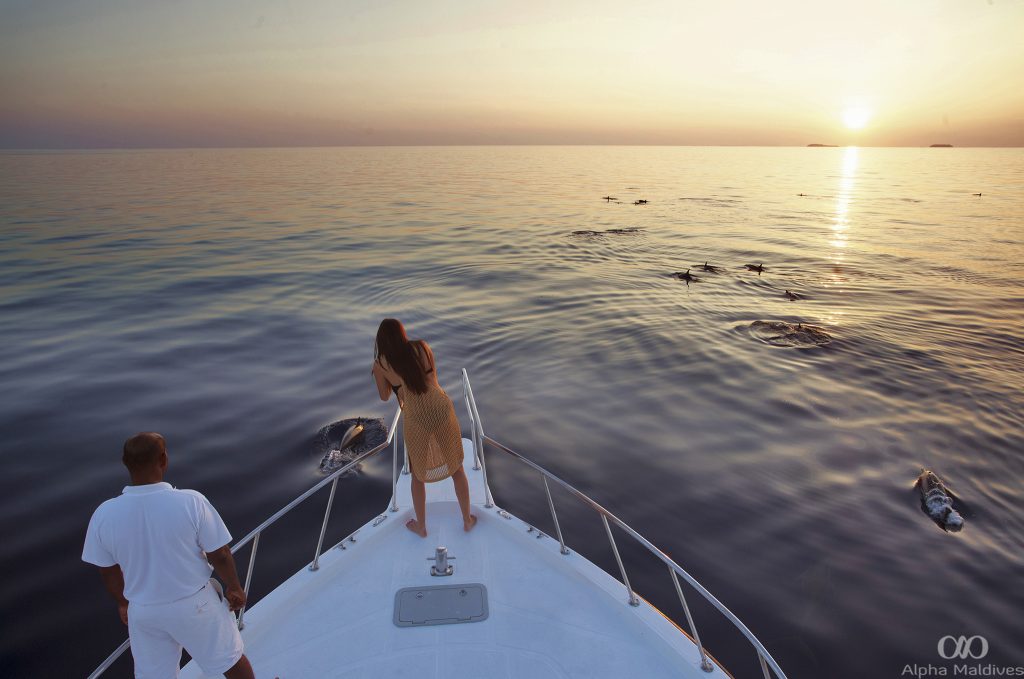 A romantic couple on a white boat watching dolphins during a golden sunset in North Malé Atoll, Maldives—a top instagrammable honeymoon spot.