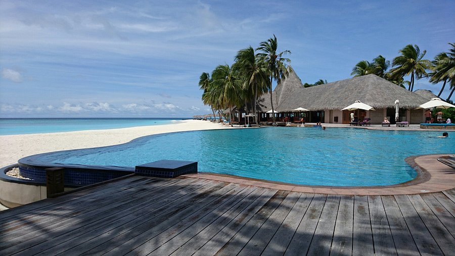 Luxury infinity pool overlooking the turquoise ocean and white sandbank at Veligandu Island Resort, Maldives, a top Instagrammable honeymoon spot.