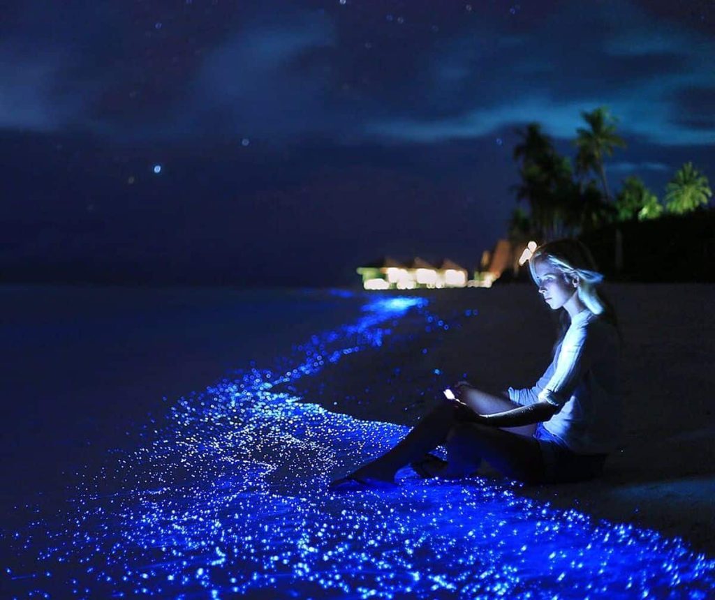 A woman sitting on a beach in the Maldives at night, surrounded by glowing blue bioluminescent plankton (Sea of Stars) washing up on the shore under a starry sky.