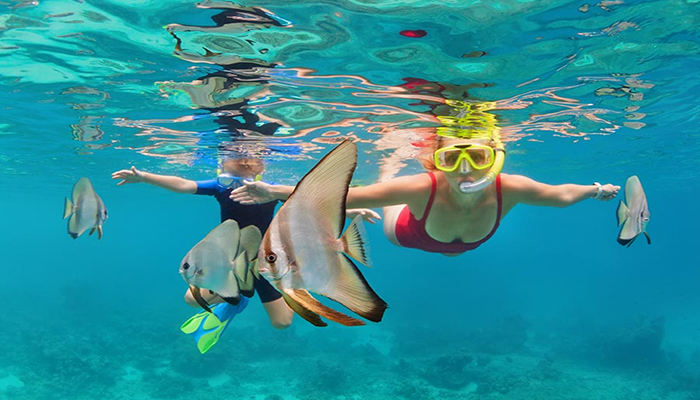 A woman and child snorkeling in the turquoise ocean of the Maldives surrounded by tropical batfish, representing a Maldives adventure guide experience.