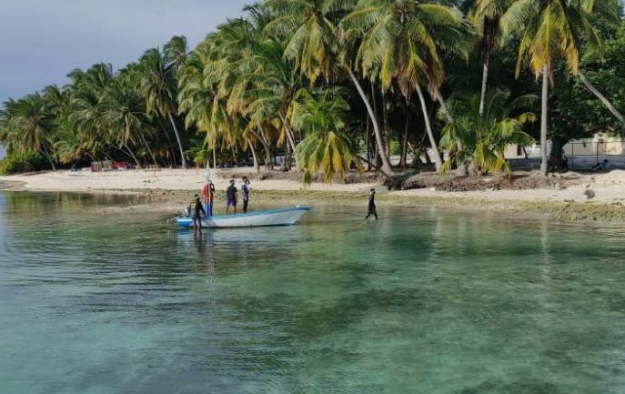 Scuba diving with a massive whale shark in the crystal clear waters of Thaa Atoll, Maldives.