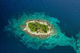 An aerial top-down view of a small, lush green island surrounded by turquoise coral reefs and deep blue ocean in Gaafu Alifu Atoll, Maldives.