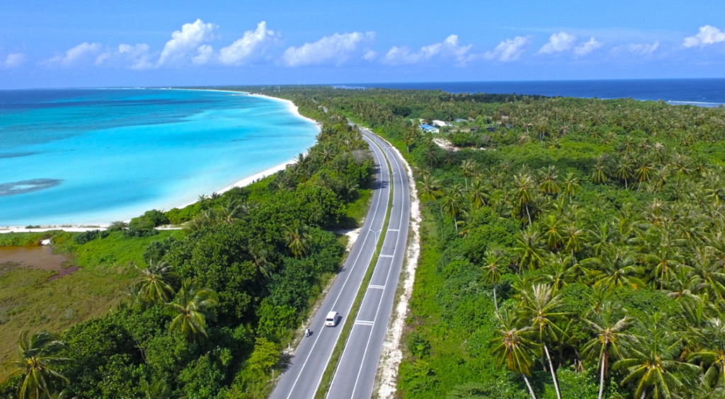 A massive whale shark swimming with scuba divers in the crystal clear waters of Thaa Atoll, near Laamu Atoll, Maldives.