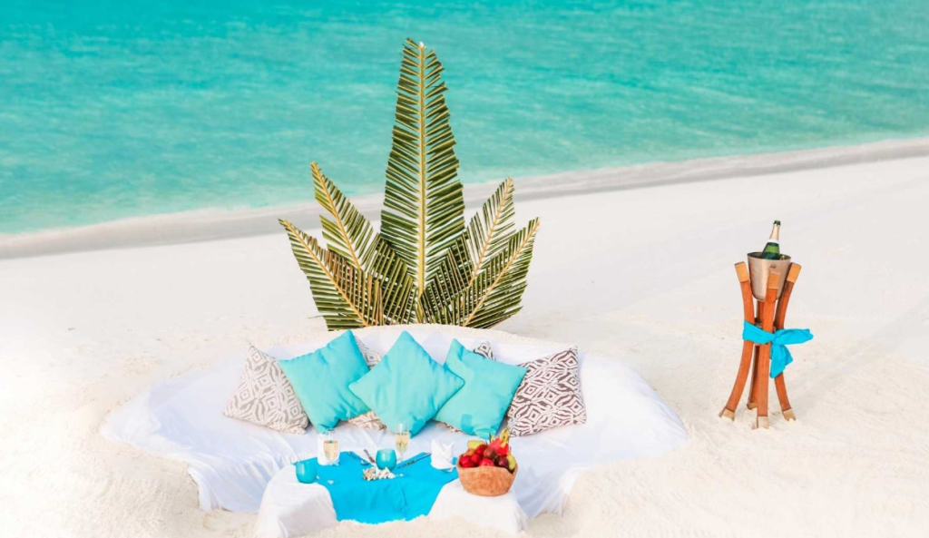 Scuba diving with a whale shark in the clear blue waters of Thaa Atoll, Maldives, showcasing diverse marine life.