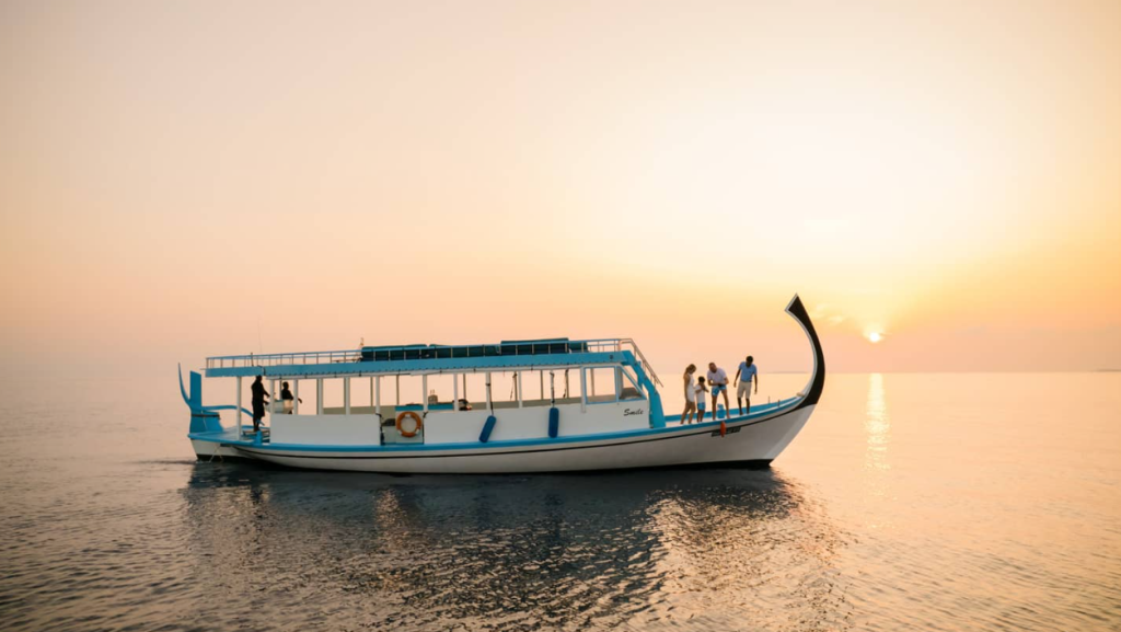 A traditional Maldivian Dhoni boat on the calm waters of Thaa Atoll during a golden sunset, used for diving excursions and whale shark spotting.