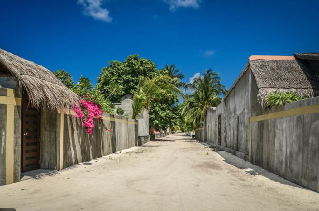 A sandy residential street on a local island in Dhaalu Atoll, Maldives, featuring traditional houses with thatched roofs and tropical flowers under a clear blue sky.