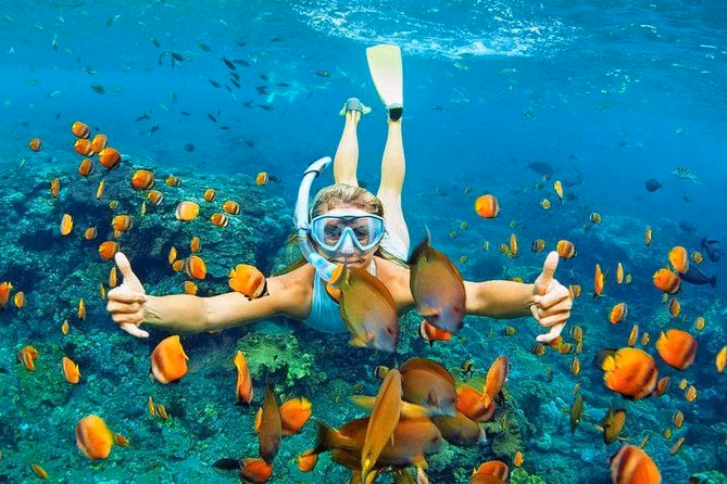 Woman snorkeling underwater in Addu Atoll, Southern Maldives, surrounded by vibrant orange fish, giving a thumbs up. A perfect activity for the "Things to Do in Addu Atoll" blog post.