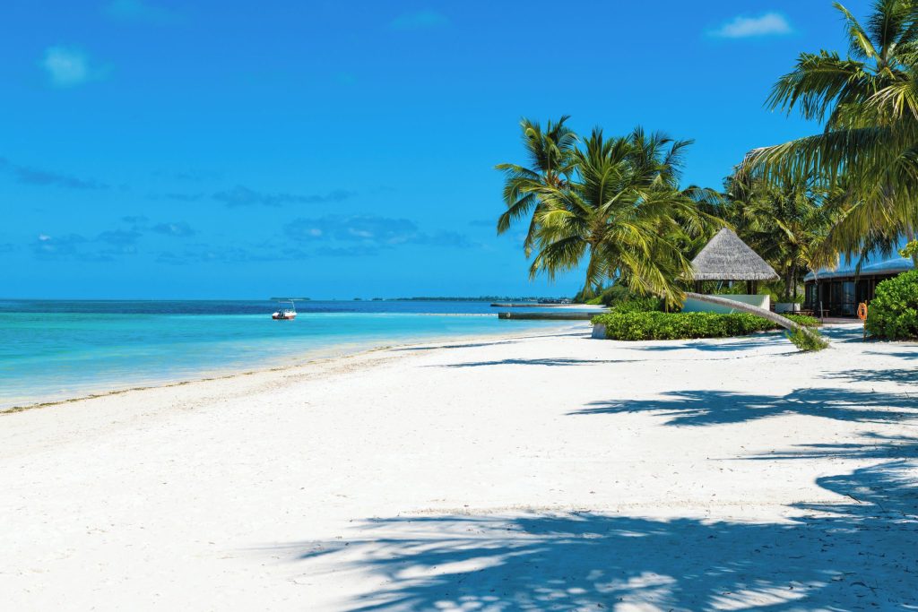 A pristine white sand beach in Addu Atoll, Southern Maldives, with coconut palm trees and crystal-clear turquoise water.