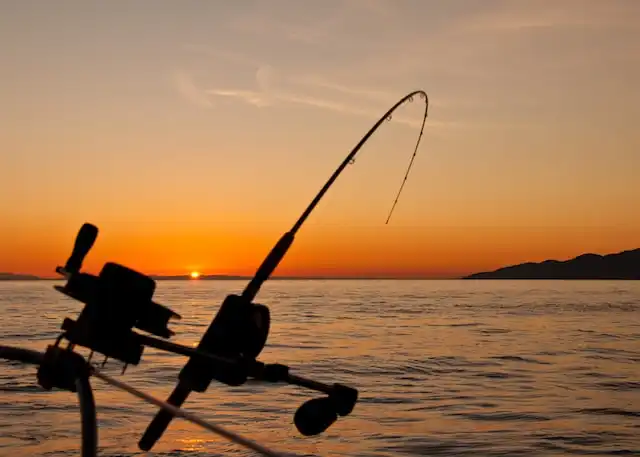 A silhouette of a fishing rod on a boat during a golden sunset in Gaafu Dhaalu Atoll, Maldives.