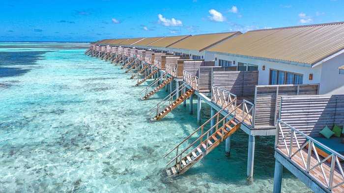 Luxury water villas on wooden stilts over a crystal clear lagoon at South Palm Resort, Addu Atoll, Maldives, featuring a row of identical bungalows with sun decks and ladders descending into the water under a clear blue sky.