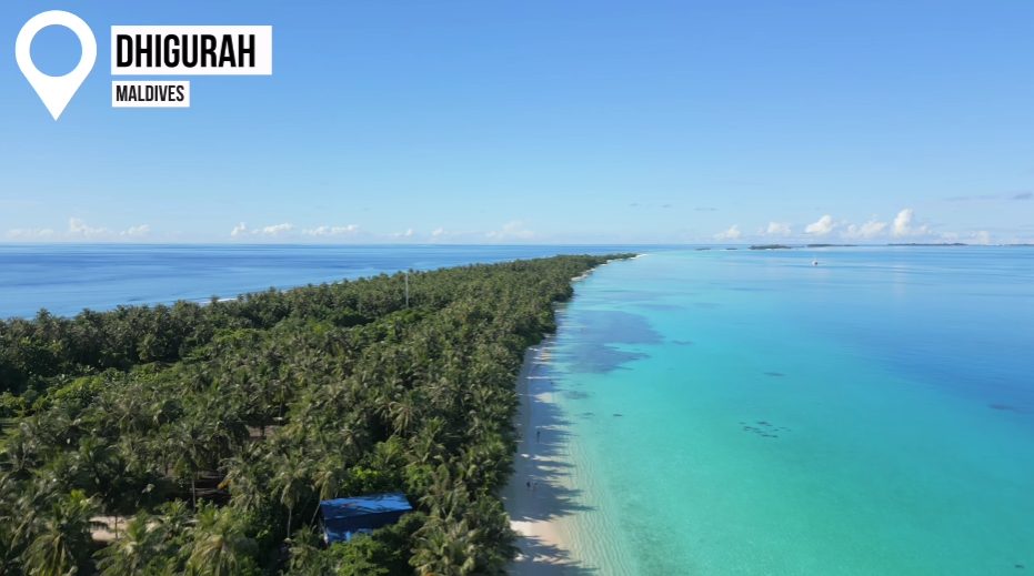 What makes Dhigurah different? Two things stand out - the long stretch of sand and the gentle giants swimming nearby. This island holds a sandbar so wide, it hardly ever seems full, even when packed with visitors. Stretching farther than most, it gives room to breathe where others feel tight. Sunbathers find more ground here, unlike the cramped shores found elsewhere up close. Space isn’t just visible, it’s felt underfoot, day after day. Whale sharks glide through these waters like they belong nowhere else quite the same.

What makes Dhigurah stand out? It sits close to where whale sharks gather, so tours cost just 70 dollars each. Other islands charge between 100 and 150 because they’re farther away. That gap adds up fast.

Here’s the thing about Dhigurah - it doesn’t come cheap. Staying overnight means paying at least seventy-five dollars each night, while meals cost noticeably more compared to nearby islands. That extra price tag? It actually matches better sand and easier chances to see whale sharks without emptying your wallet. A lot of visitors find themselves liking it most by the time they’ve seen everything.