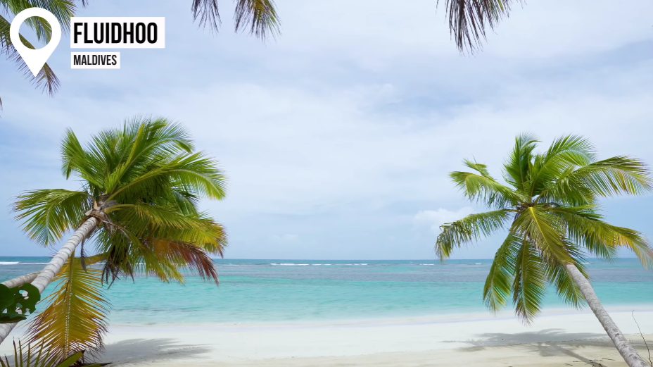 On one hand, Fulidhoo stays under the radar simply because it does not try too hard. Beaches here matter most, along with a stretch of coral you can reach by walking out into the water. That nearby reef? Known for frequent visits from turtles and stingrays close enough to watch at ease. Slower days appeal to certain visitors - those stepping back from crowded spots where footprints cover every inch of sand. Fewer people show up here; this leaves room to wander freely near shorelines others overcrowd. Quiet settles differently when there are long gaps between conversations down the coast.