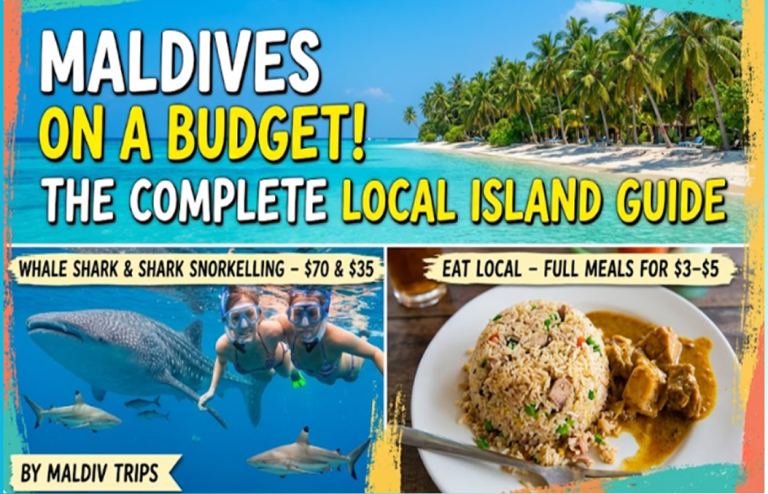Midnight swims off decked patios where water meets sky. Quiet mornings start with a glass of something cool beside a bed built on stilts. Sun dips low, painting everything gold before disappearing behind thin islands. Staff appear only when needed, never sooner. Prices climb past fifteen hundred dollars each night like it means nothing at all. Yet the Maldives people see isn’t the whole picture. A different Maldives exists. Not far off, locals run small guesthouses right beside their homes. Mornings bring bright blue waves lapping near your window. Coral gardens wait just a short swim from shore. Whale sharks glide through deep channels nearby. Sunsets paint the sky in quiet hues, unchanged by price tags. Staying here costs about sixty dollars each day. Luxury escapes charge countless times more. This full guide to the island helps explain things clearly. It walks through each part step by step, showing what happens behind the scenes. You see how pieces fit together without confusion. Details unfold naturally as you move along. The process becomes obvious after a while. Nothing feels hidden or out of place. Each section builds on what came before it. What's covered here includes: The real difference between private resort islands and local inhabited islands How the 2009 tourism law change opened the Maldives to budget travellers How to get from Malé to local islands using ferries or speedboats Accommodation prices across Thulusdhoo Maafushi Fulidhoo and Dhigurah Money for meals might surprise you. Tours can take a big chunk each day. What’s left often shrinks faster than expected Where to find affordable whale shark, dolphin, and reef shark tours What to expect regarding alcohol laws, dress codes, and cultural etiquette A whole two-week spend report reveals one couple stayed below nineteen hundred bucks altogether Truth be told, most guides oversell paradise. This one strips it back. Staying on a local island? It works - when you know which guesthouse skips the markup. Resorts promise ease but often deliver cookie-cutter days. Meanwhile, ferries move slow yet open up chains of untouched spots. Brochures paint perfection; actual nights include mosquito bites and spotty Wi-Fi. Still, sunsets stay vivid regardless. Choices matter more than budgets. Some save cash just to waste time waiting for speedboats. Others land cheap flights then pay extra for basics. Clarity comes from having done both. Not theory. Real mornings hauling bags across sand docks. Real meals at family-run cafes where portions surprise. Worth it? Depends what you seek. Crowds flock resorts. Quiet corners live elsewhere. Out here, clear blue water pays no mind to your wallet size. Reefs stay just as they’ve always been - unchanged. Whale sharks glide through like nothing ever shifted. Sandbars remain untouched by price tags. Your bed might be softer if you spend more. Boats could feel fancier under your feet. A cocktail might wait at some polished counter instead of fresh coconut held in hand near village huts. Most islands here let travelers see life as locals live it. Not through luxury glass floors, but on footpaths near homes and markets. Instead of private decks, days unfold around small cafes, family-run shops, little boats at docks. Staying becomes possible for weeks, not just nights. Costs drop while connections grow stronger. What some might miss in comfort gets replaced by moments that feel real. Nights sound like waves plus distant voices from a beachside game. Mornings start with tea sold in paper cups, shared smiles, no reservations needed. Start smart, pick spots with care, then let moments matter more than plush extras - suddenly the Maldives feels less like a dream, more like something within reach.