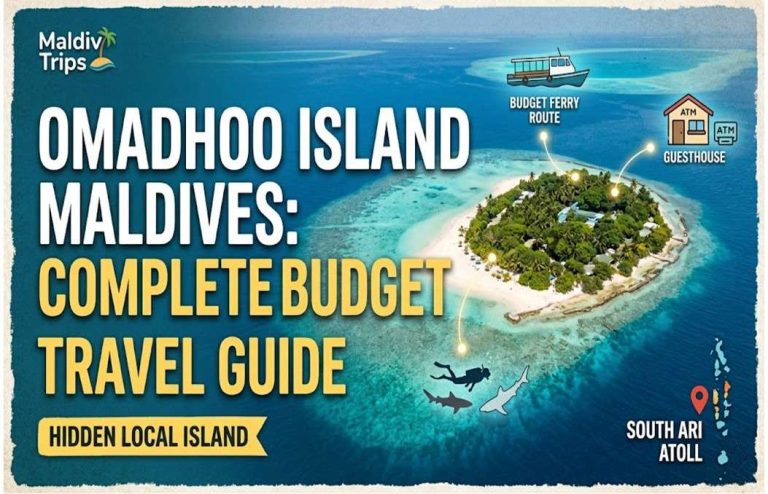 Explore Omadhoo Island Maldives with this complete budget travel guide covering snorkeling beaches costs transport and local island experience.
