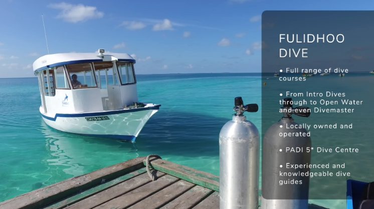 Out here, where the ocean opens wide, Fulidhoo pulls divers not with fame but what lies beneath. Its underwater edges host reefs, channels, and drop-offs shaped by slow currents and rich with movement. Life crowds every ledge - sharks patrol deep passes while reef fish blur across shallows in shifting clouds. Few places in the Maldives match this mix of wild access and living density. What you find below happens without show, just presence.

Fulidhoo Dive Center

Out at sea, the diving around this island gets handled by Fulidhoo Dive Center - one that holds full PADI five-star status. Starting off? No problem - first-time dips are part of their routine, just like training future dive leaders up to Divemaster standard. What stands out isn’t just skill, but how deeply familiar these instructors are with where things happen beneath the waves. Because they know when and exactly where to go, what shows up under the surface tends to surprise even quiet expectations.

Booking your dive trip gets easier when you pick a package that includes where you sleep, air tank dives, plus rides to and from the airport - all sorted at once. Those heading straight to Fulidhoo just for underwater swims find this setup cuts down on prep time. Instead of arranging each piece separately, everything connects through one reservation made ahead.

Dive Sites Around Fulidhoo

Out past Fulidhoo, underwater spots shift dramatically in what they ask of you. Bright, shallow corals welcome divers still fresh with certification. Meanwhile, swift currents pull seasoned ones into wrecks and deeper runs. Life below pulses with reef sharks - both white-tipped and black-tipped - lounging near ledges. Turtles, greens and hawksbills alike, paddle through with slow grace. Schools of vivid fish hang like clouds above the drop-offs. Now and then, if luck tilts your way, mantas glide close - or even a whale shark slips by in silence.

The Alimatha Night Dive: A Bucket List Experience

Out past Fulidhoo, there's a spot that whispers travel far wider than just nearby reefs. When darkness settles over Alimatha, underwater lights begin drawing shapes in the deep - this dive earns nods even from those who’ve seen most corners of the sea. Not many nighttime plunges hold such quiet fame across oceans.

As daylight fades, divers begin their drop into dimming waters. Soon after entering, shadows shift beneath them - nurse sharks appear first, then rays, slipping in one by one until the group grows thick around legs and arms. At Alimatha Jetty, dusk pulls creatures from hiding like clockwork. Close, constant movement brushes past without warning - sometimes twenty sharks circling, sometimes more. What feels unreal repeats nightly - the sea floor wakes up when sun leaves.

Most people find the Alimatha night dive makes staying longer on Fulidhoo worthwhile instead of leaving early. When arranging your trip around diving there, leave room in your schedule just for that.