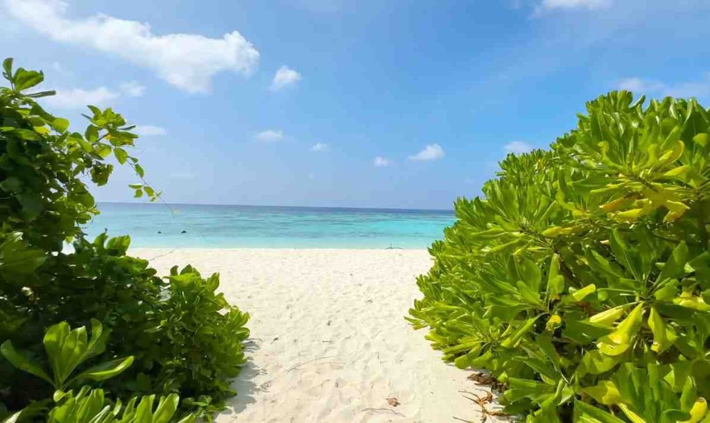 Small though Omadhoo’s bikini beach may be, it still draws attention. Compared to typical Maldivian shores, space feels tighter here. Not long ago - roughly two years back - the stretch of sand ran wider. Then came a barrier splitting zones, shrinking the swimwear-friendly patch while boosting room for residents nearby. Learning this ahead helps temper expectations once you step onto the island. Still, tiny doesn’t equal dull. Overhead cover appears here and there, along with sunshades plus places to sit. As peak months drew near, people arrived steadily - yet never packed in. Twelve lodges stand ready to fill beds, yet the shore stayed calm when seen up close. Down by the shore, certain stretches hold hidden stones beneath the waves. When the sea pulls back, those spots turn tricky for swimmers. Open sandy zones - free of rubble - are limited, hugging the edge where land meets water. High tide smooths things out, making dips far easier. Timing matters more than most expect; tides reshape how the place feels entirely. Swings sit near the shore, turned toward open water, perfect for snapshots. A tiny Amadu marker stands close by, unassuming. Fishing line holds bits of shell and coral, hung like quiet decorations. These details bring a handcrafted warmth to the sand. Nothing here gleams or feels manufactured. Still, its rough edges hold more soul than gloss ever could. Here’s something to keep in mind: the line between the bikini section and the local area acts like a firm border. Crossing it in bikinis or typical Western swimwear isn’t allowed by rule. While a few visitors still move past it, doing so ignores local norms. Respect shows when people stay on the side meant for them.